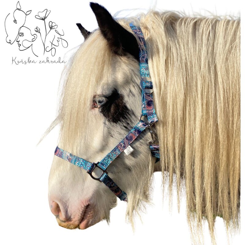 Ohlávka Síla pouště FULL